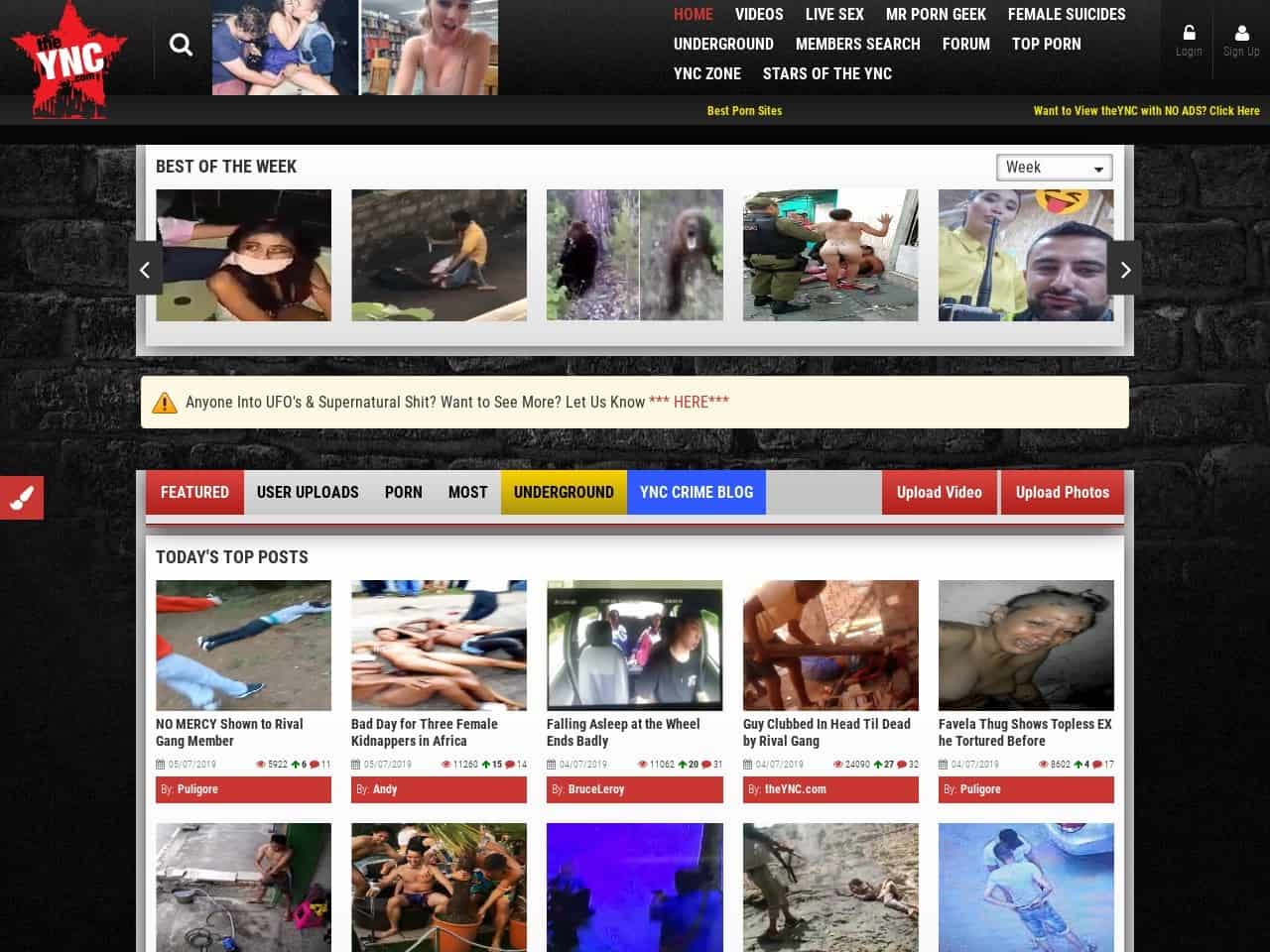Sites like theync